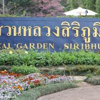 Thailand 2009 Chang Mai Royal Garden Siribhume 009.jpg